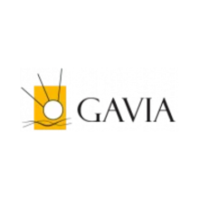 Gavia